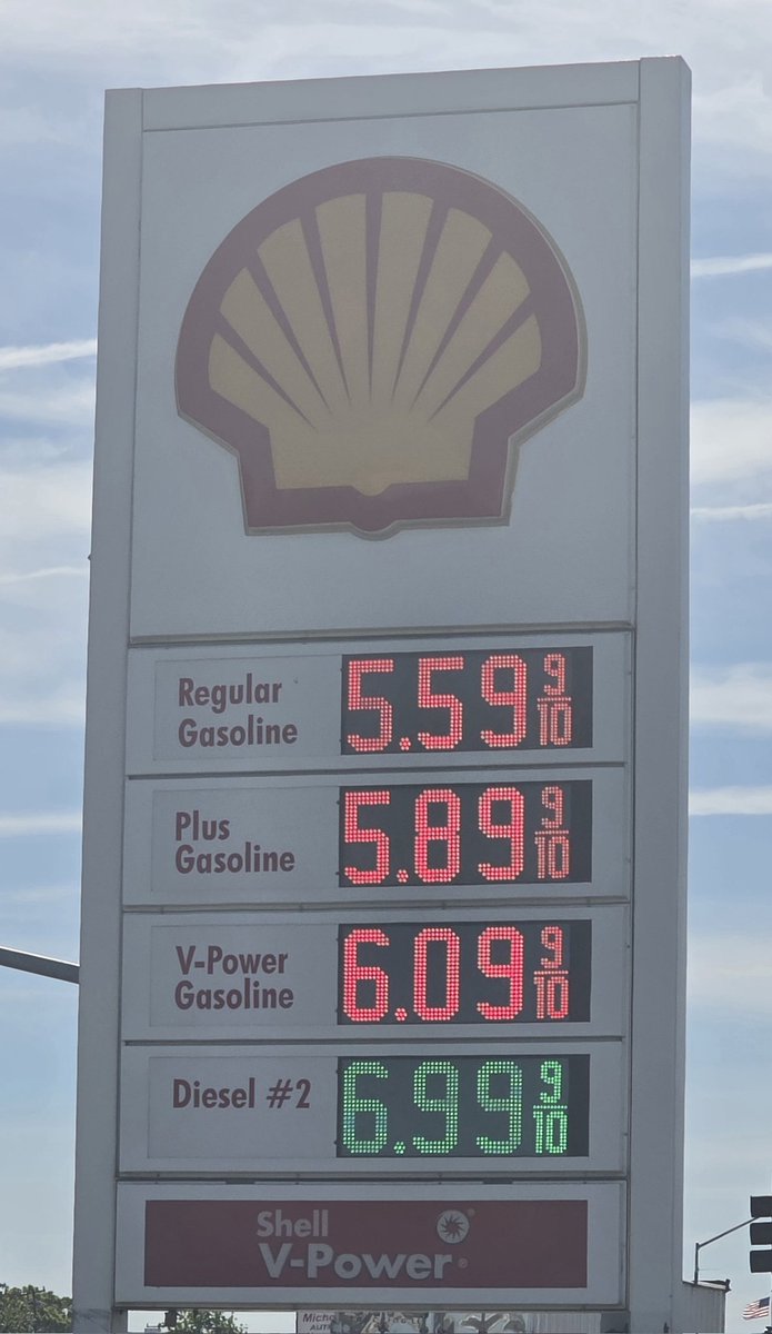 🍊Grizzle🌱 tweet media