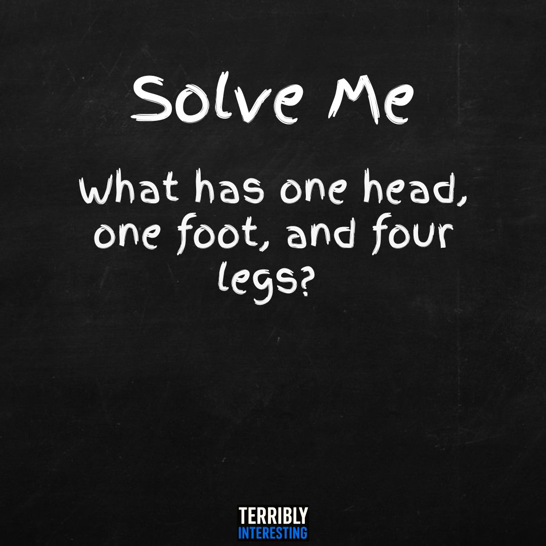 Terribly Interesting tweet media