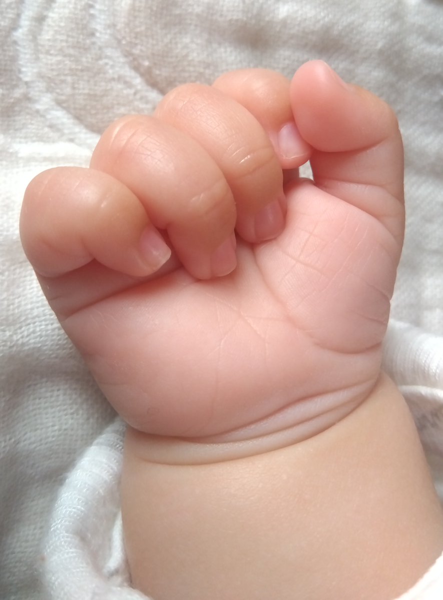 ナラカメ tweet media