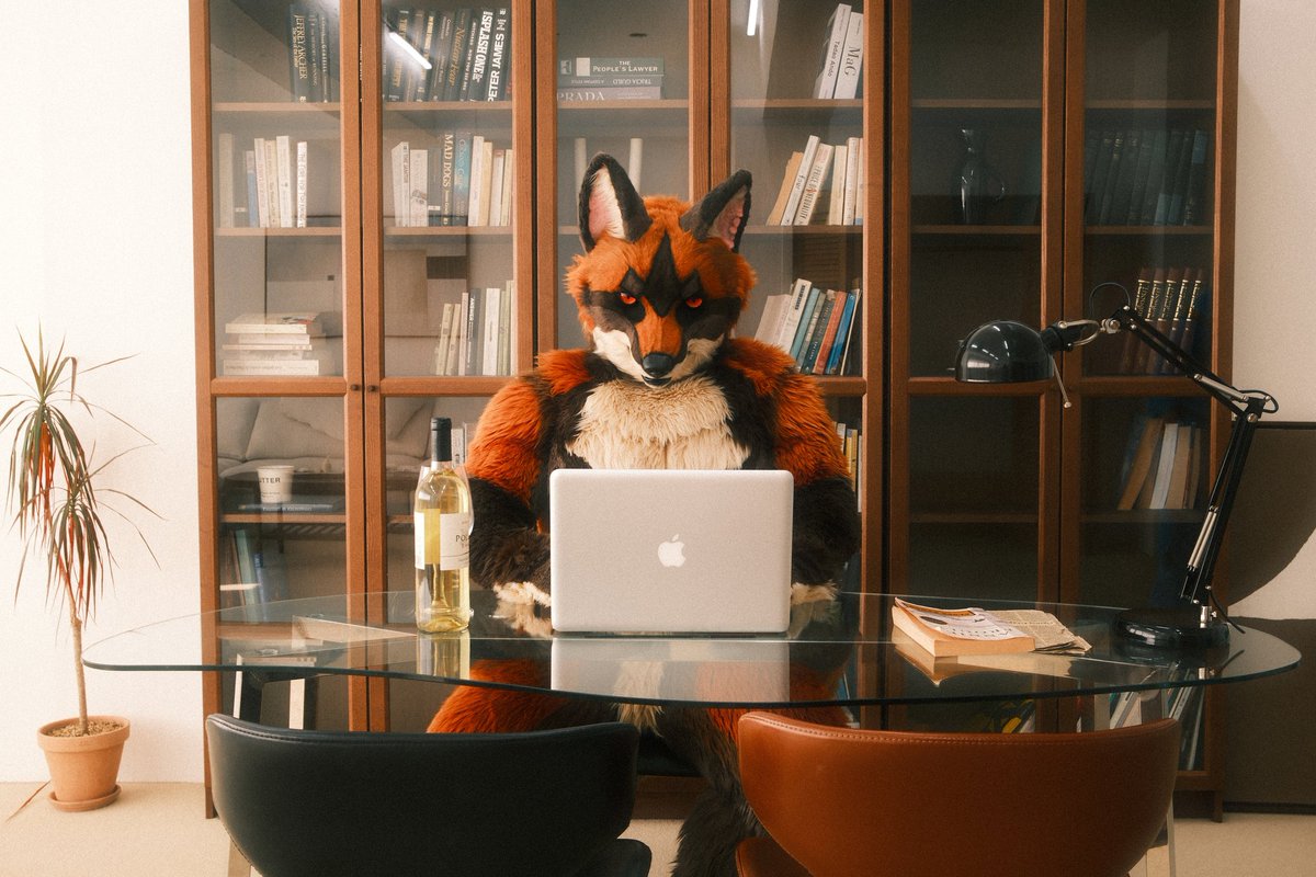 Sparrow🐦 ➡️Furstclass tweet media