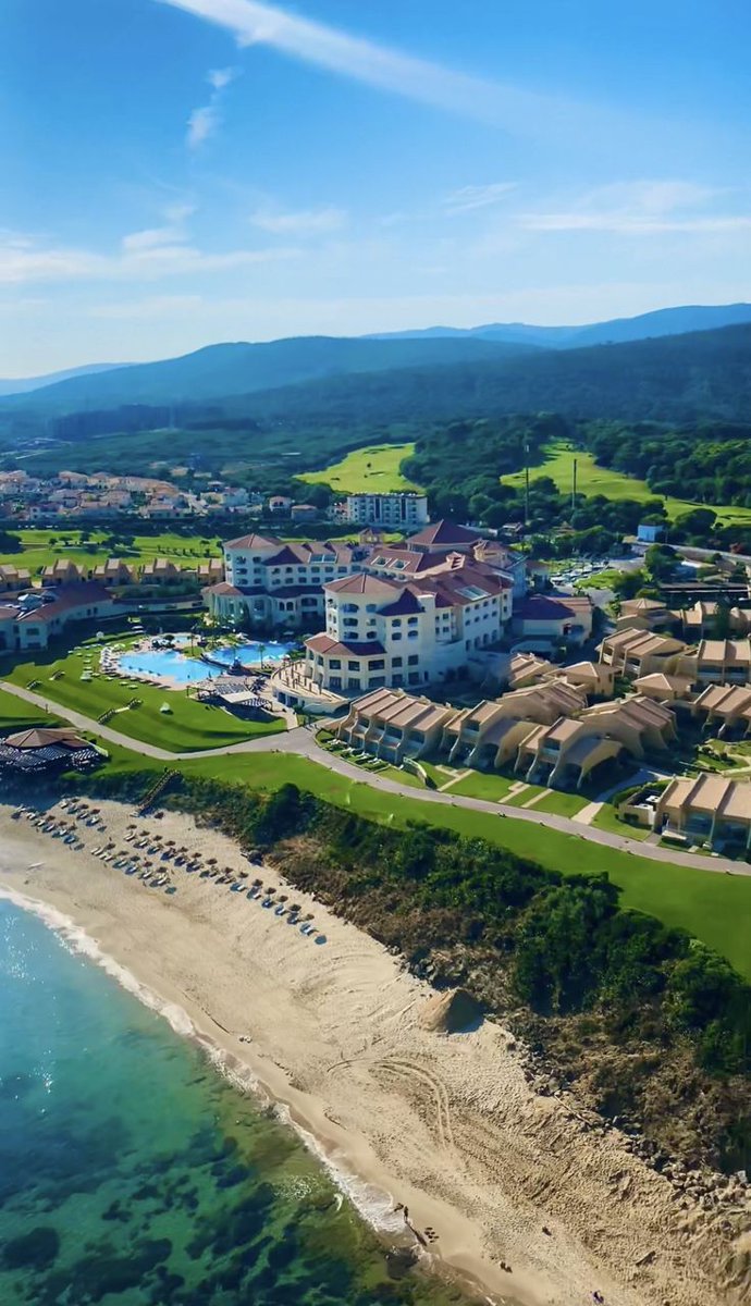 Meriem 🌷 tweet media