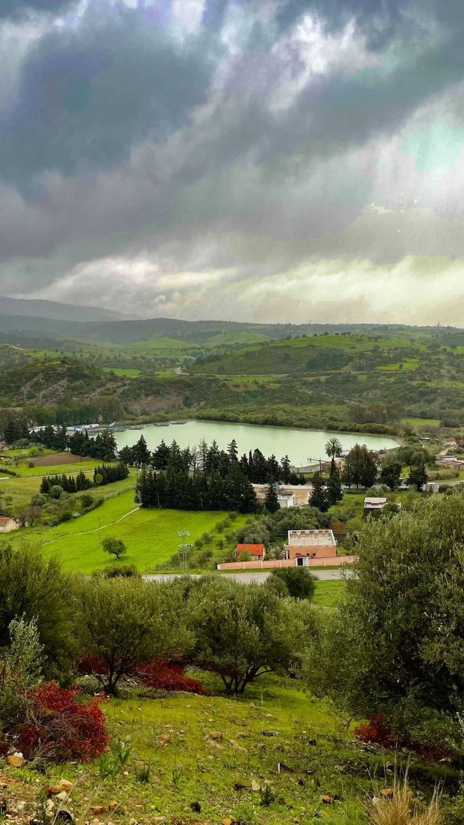 Meriem 🌷 tweet media