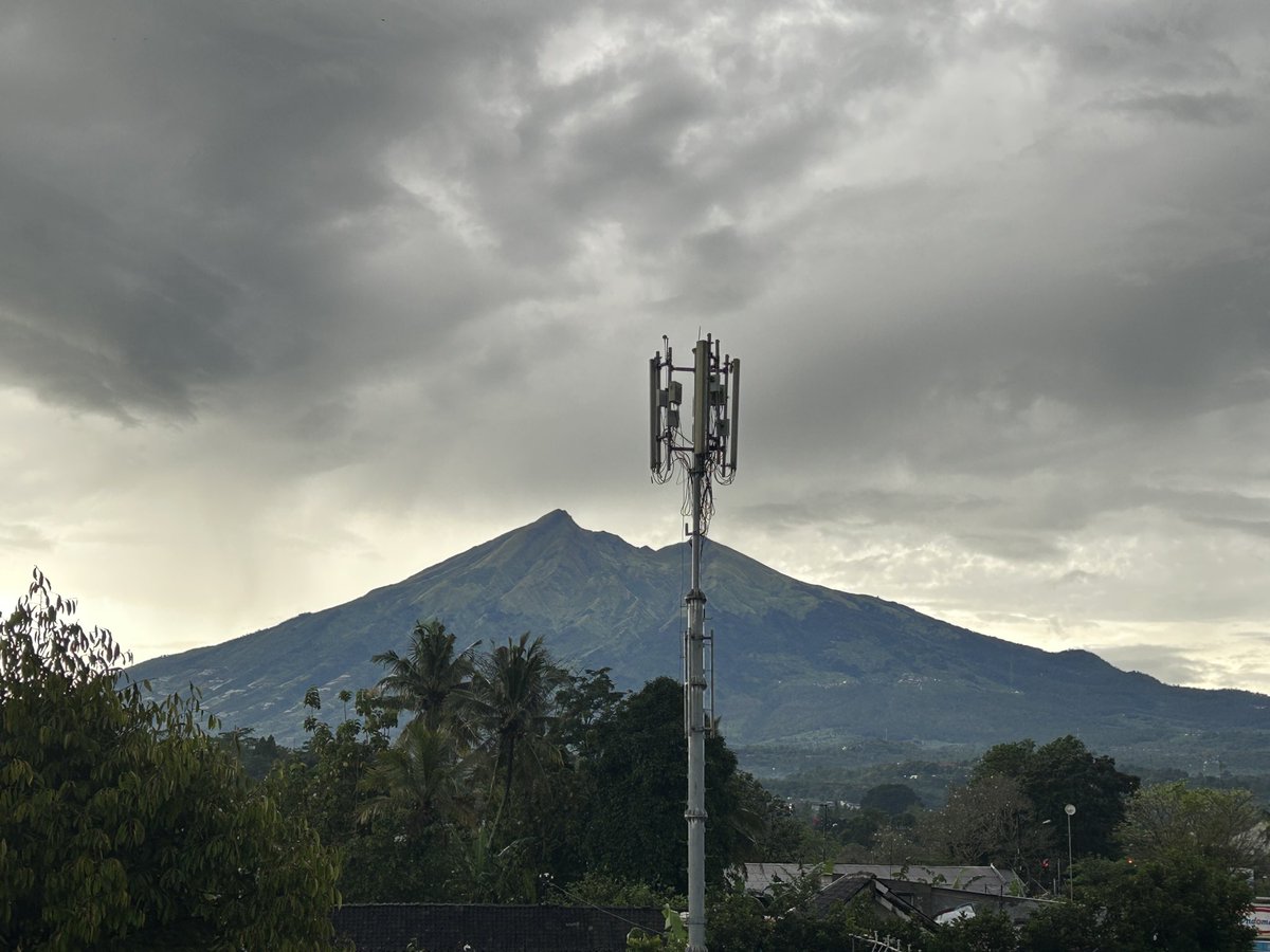 melonomics tweet media