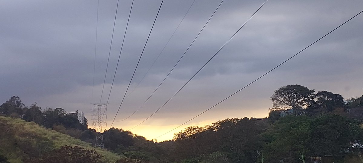 Carlos F. Lobo Protti tweet media