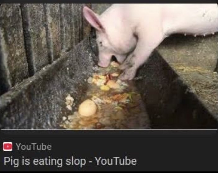 Zacky =w= tweet media