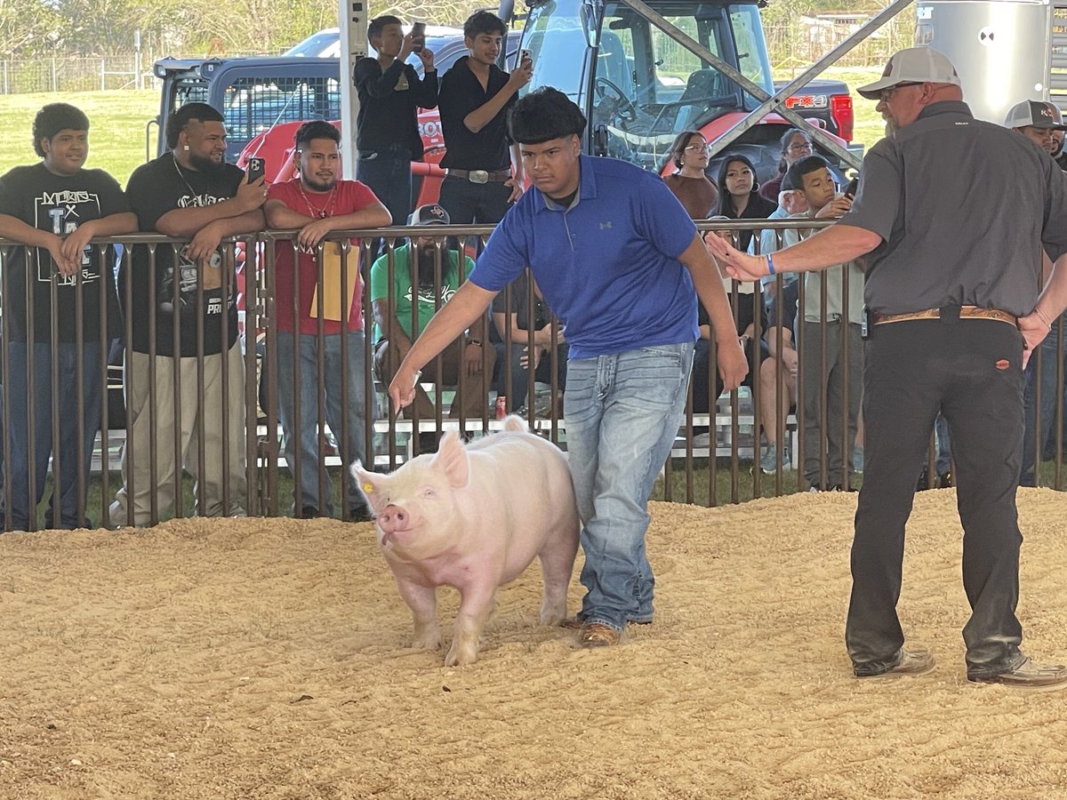 Mrs. Allen tweet media