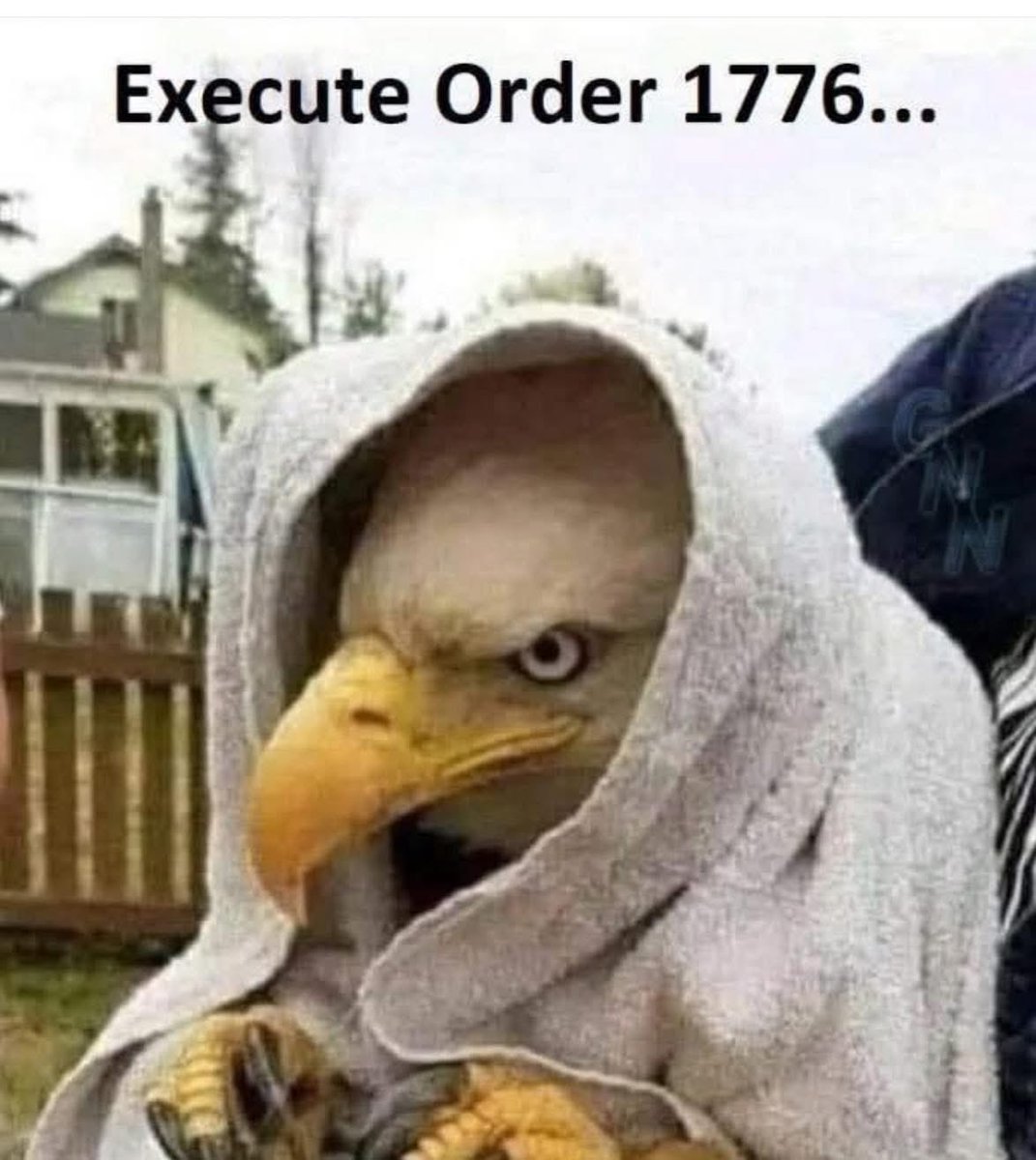 Rothmus 🏴 tweet media