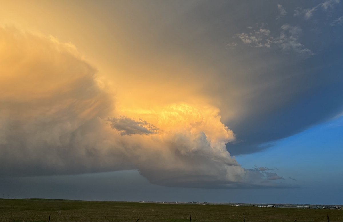 D Miller tweet media