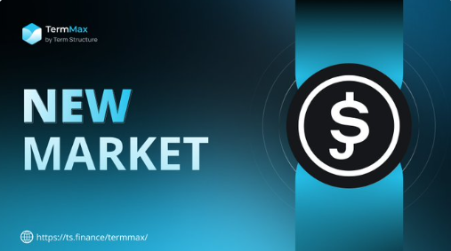 Mooot 🐬TermMax tweet media