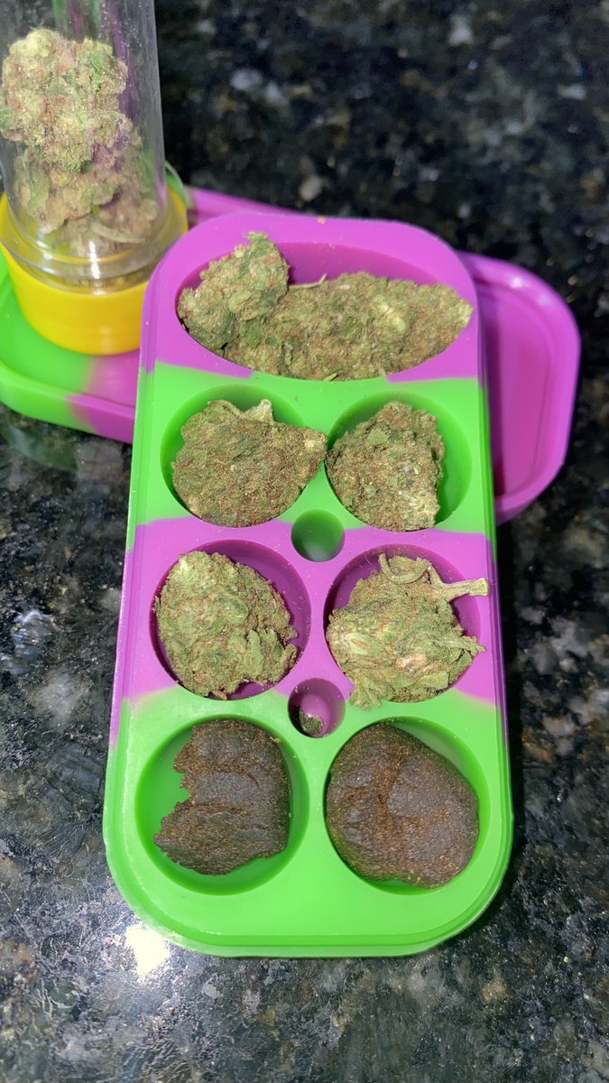 🍁 𝑪𝑨𝑵𝑵𝑨𝑩𝑰𝑺 𝑫𝑶 𝑹𝑰𝑶 🍁 tweet media