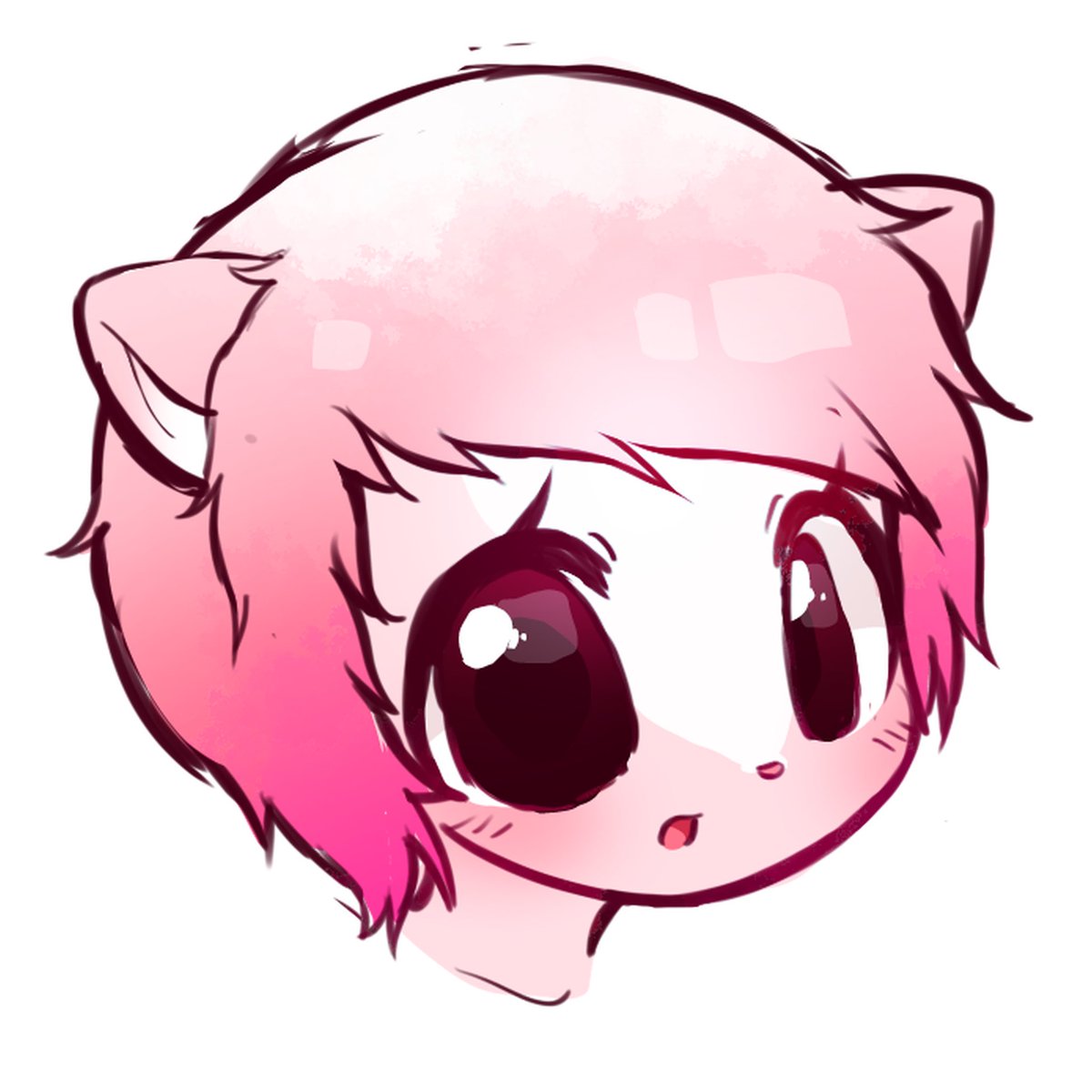 🫧🪼💙 tweet media