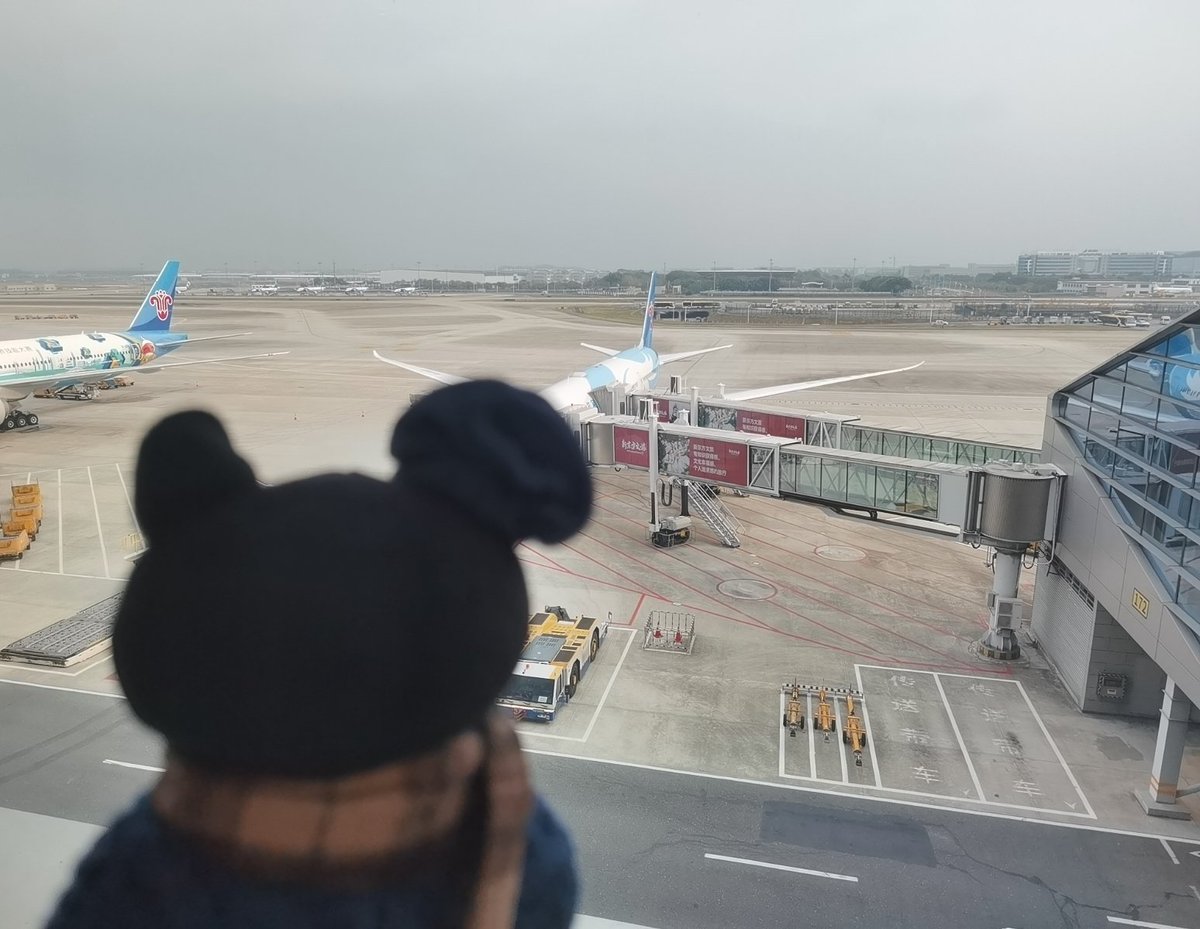 +STERVIA+ tweet media