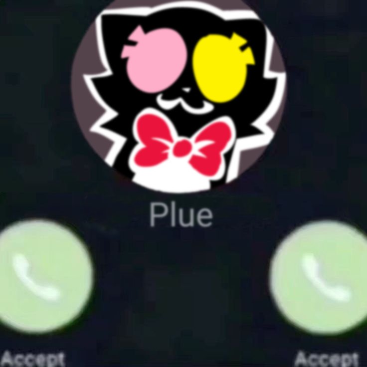 local cat tweet media