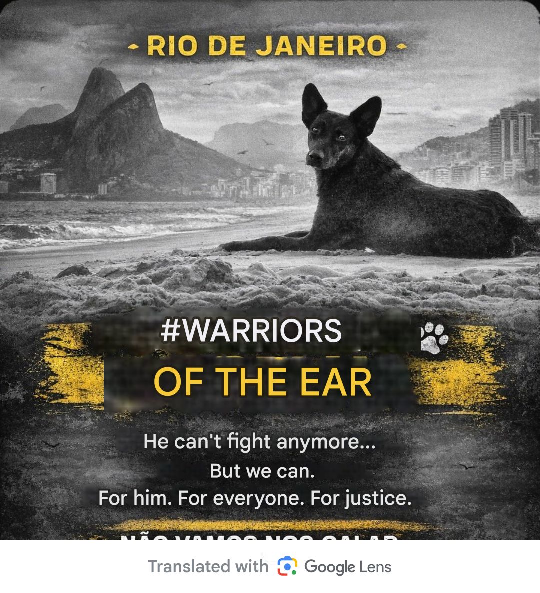 Approximately 10 millionaires in #Brazil 🇧🇷 including an adult female are free months after livestreaming themselves seeing who could be the coolest for an online challenge, to hundreds who watched and did nothing to stop it. Local official felt sick seeing the video footage.