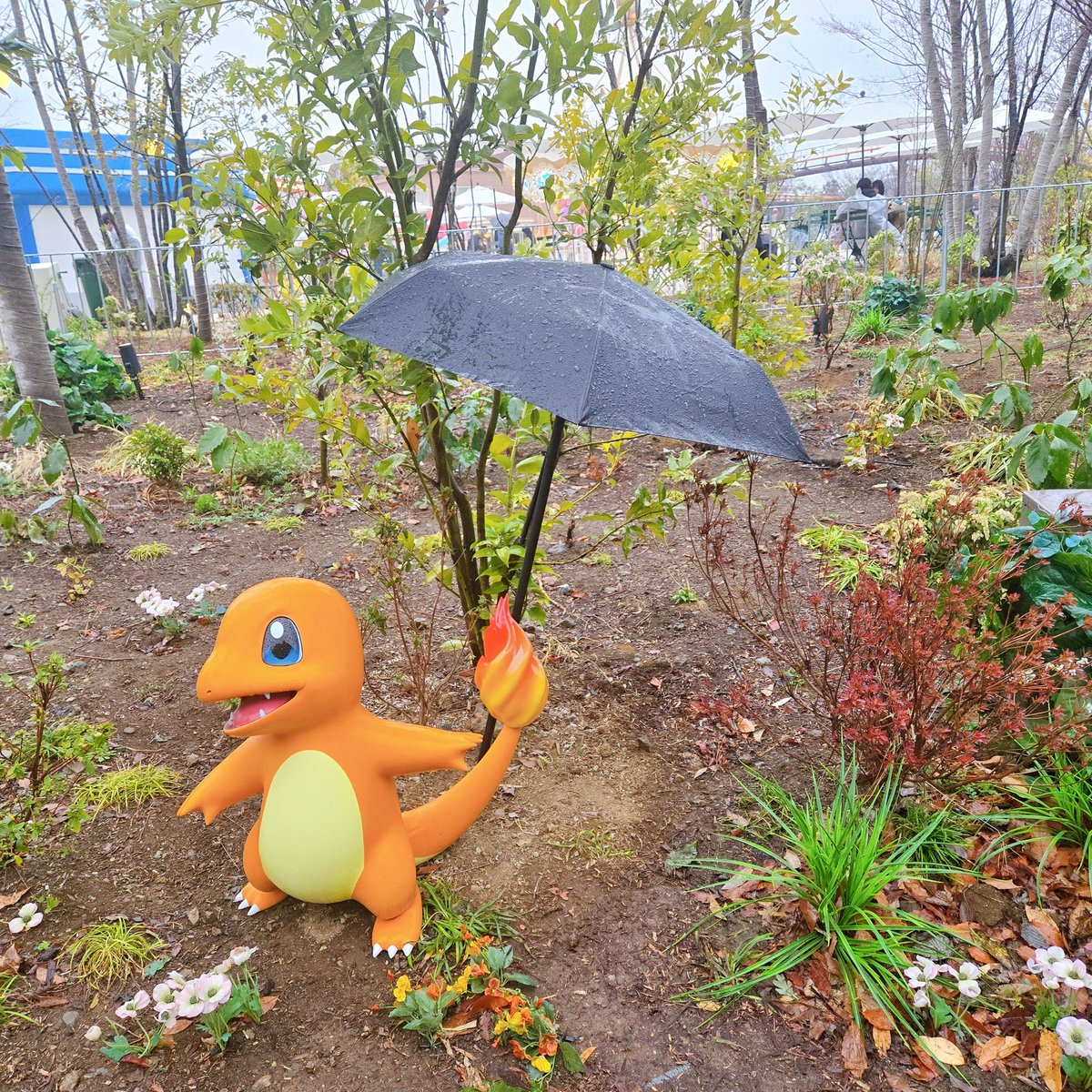 ほしあん tweet media