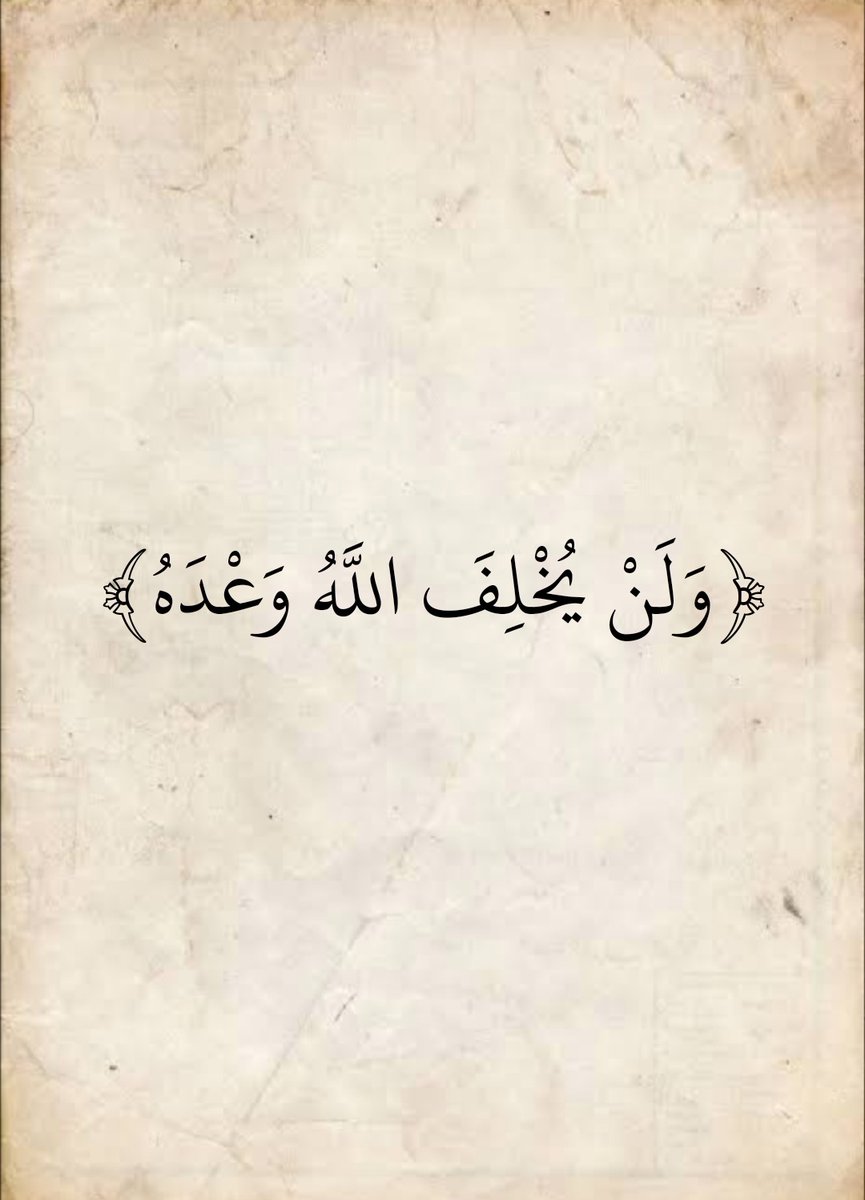 المُصْحَف tweet media