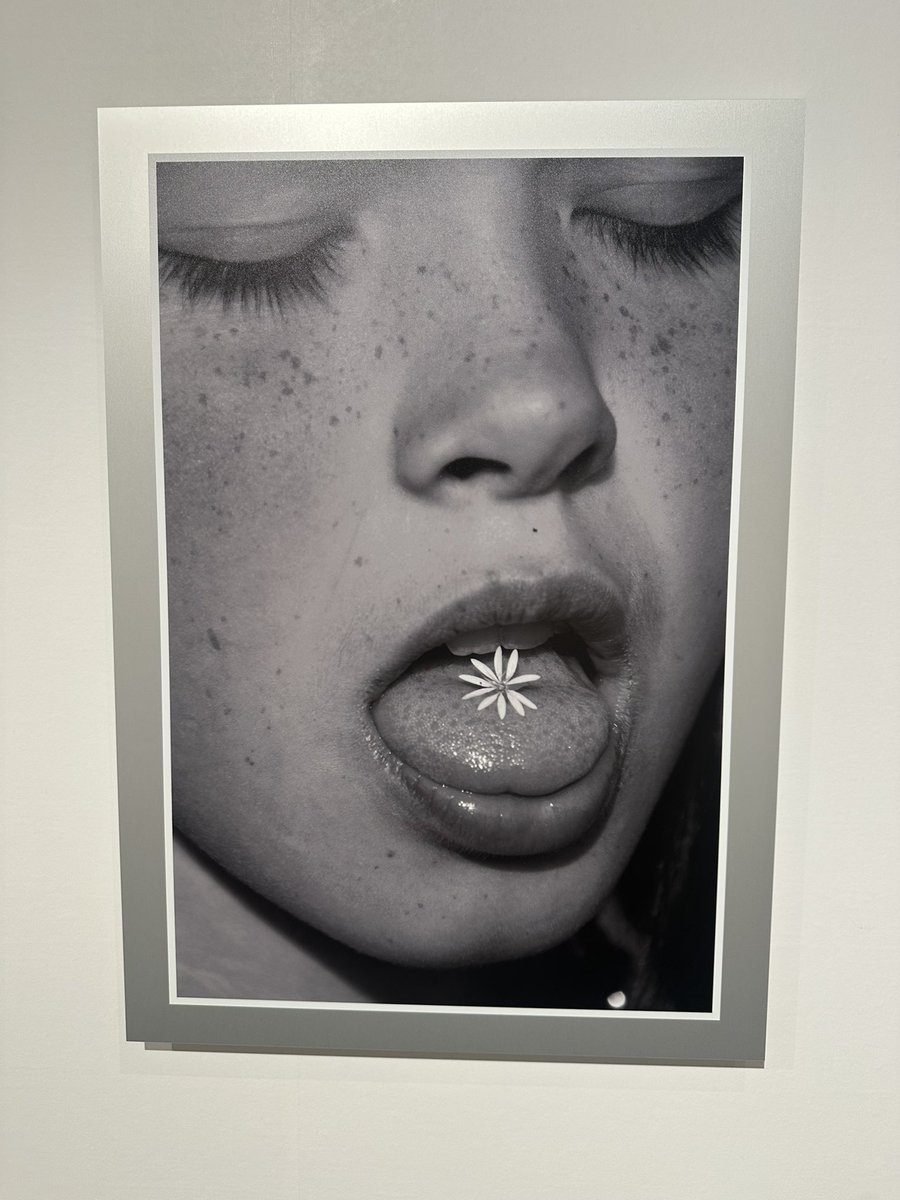 犬山紙子 tweet media