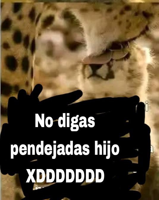 Un Mapache Dibujante tweet media