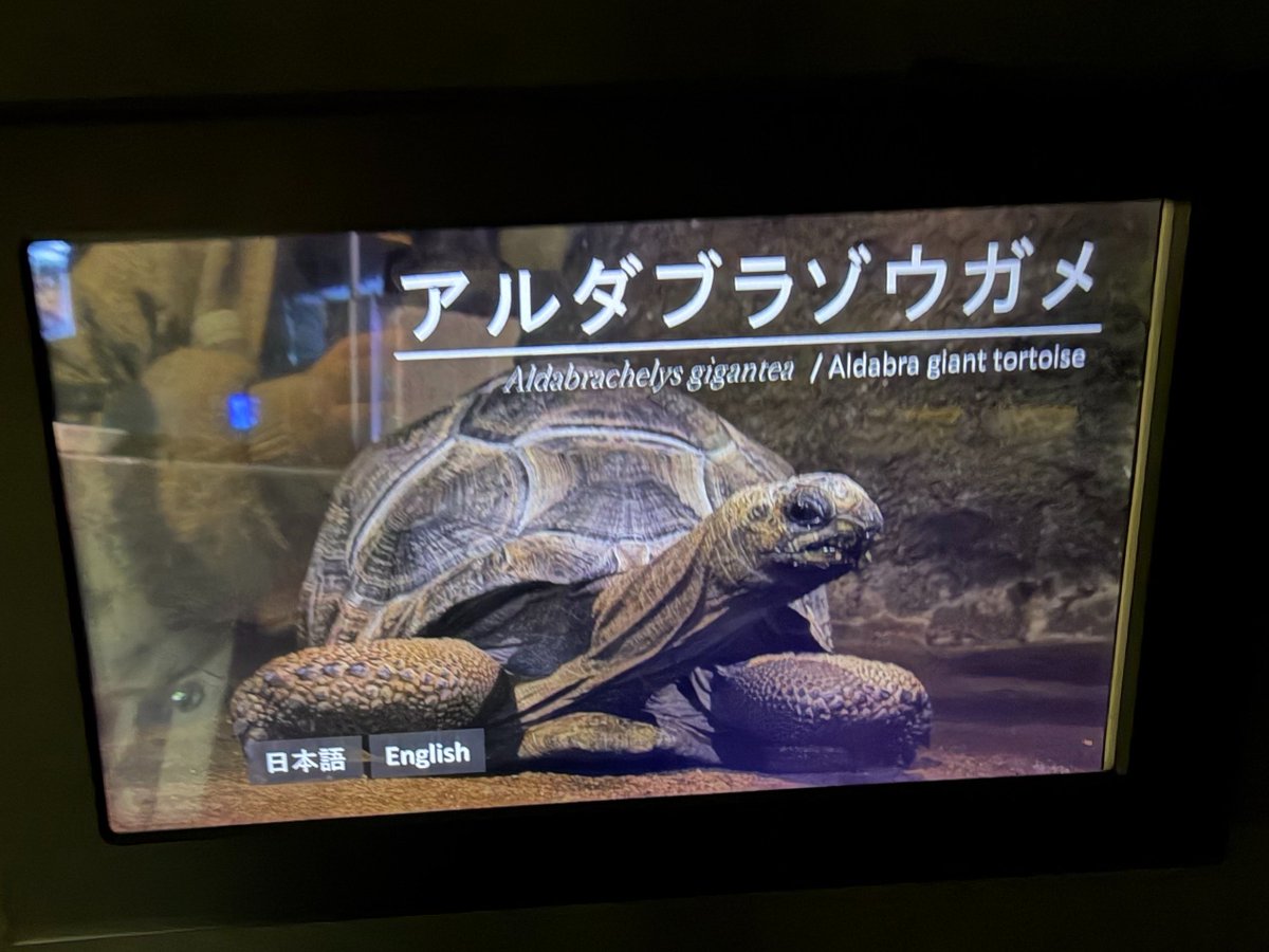 インサレイションテクノロジー tweet media