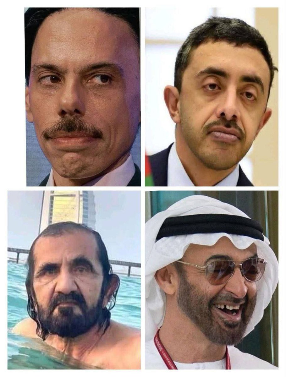 علي هاشم 313 tweet media