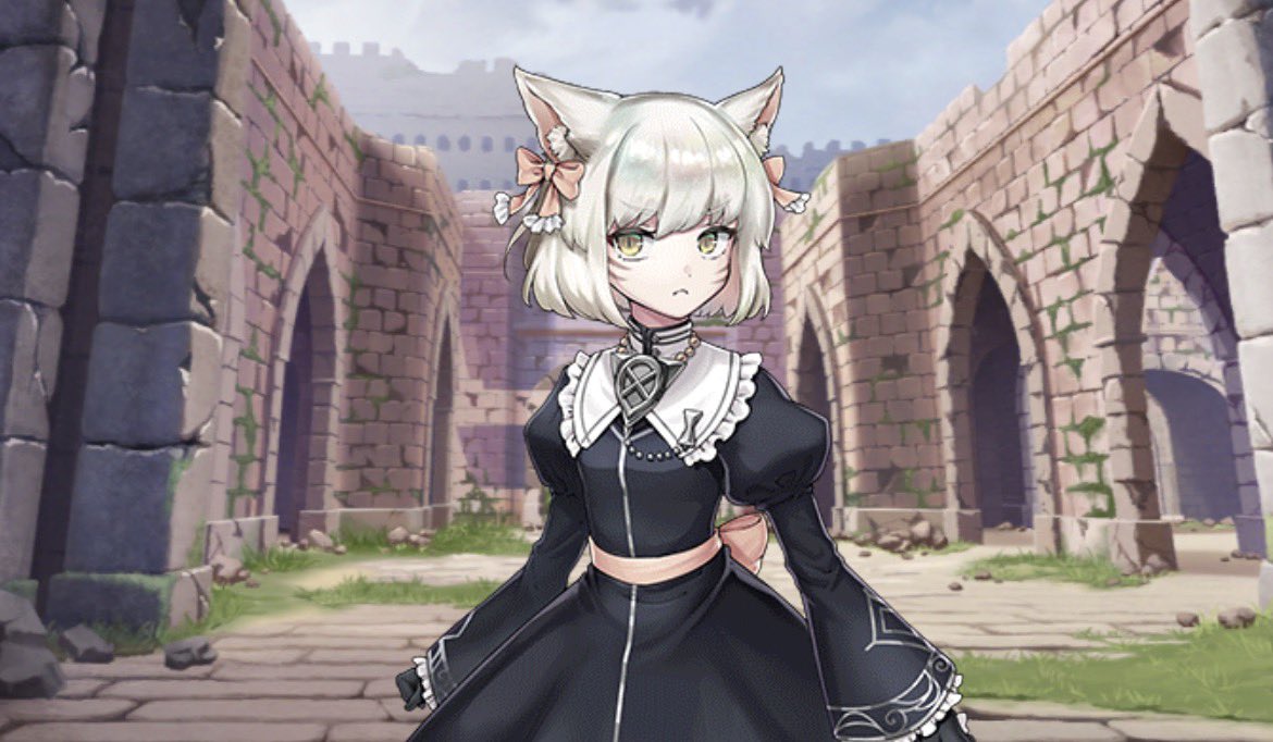 ねっこひろき tweet media