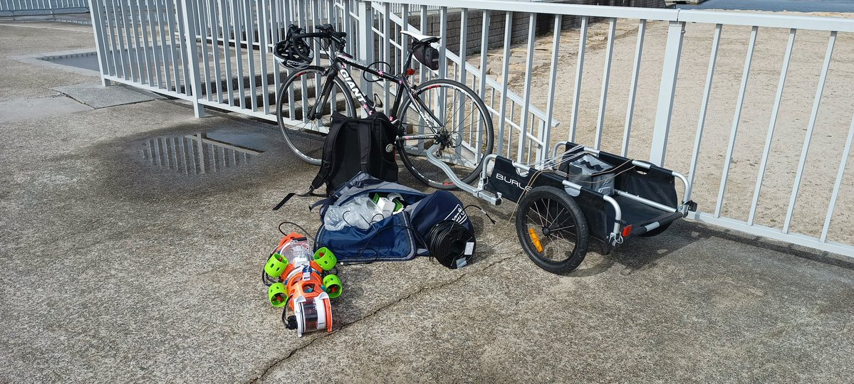 ﾏｯｻﾝ🐟️ tweet media