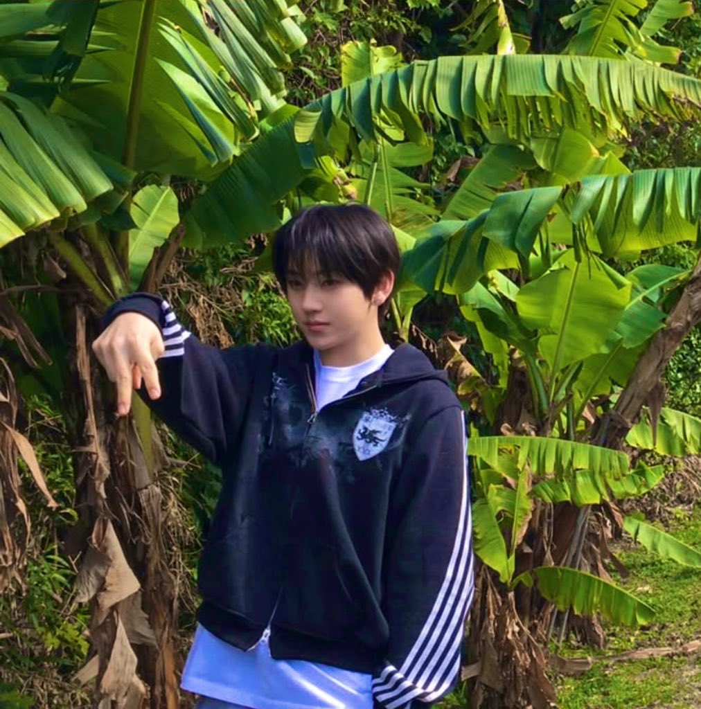 Lice 🐋 tweet media