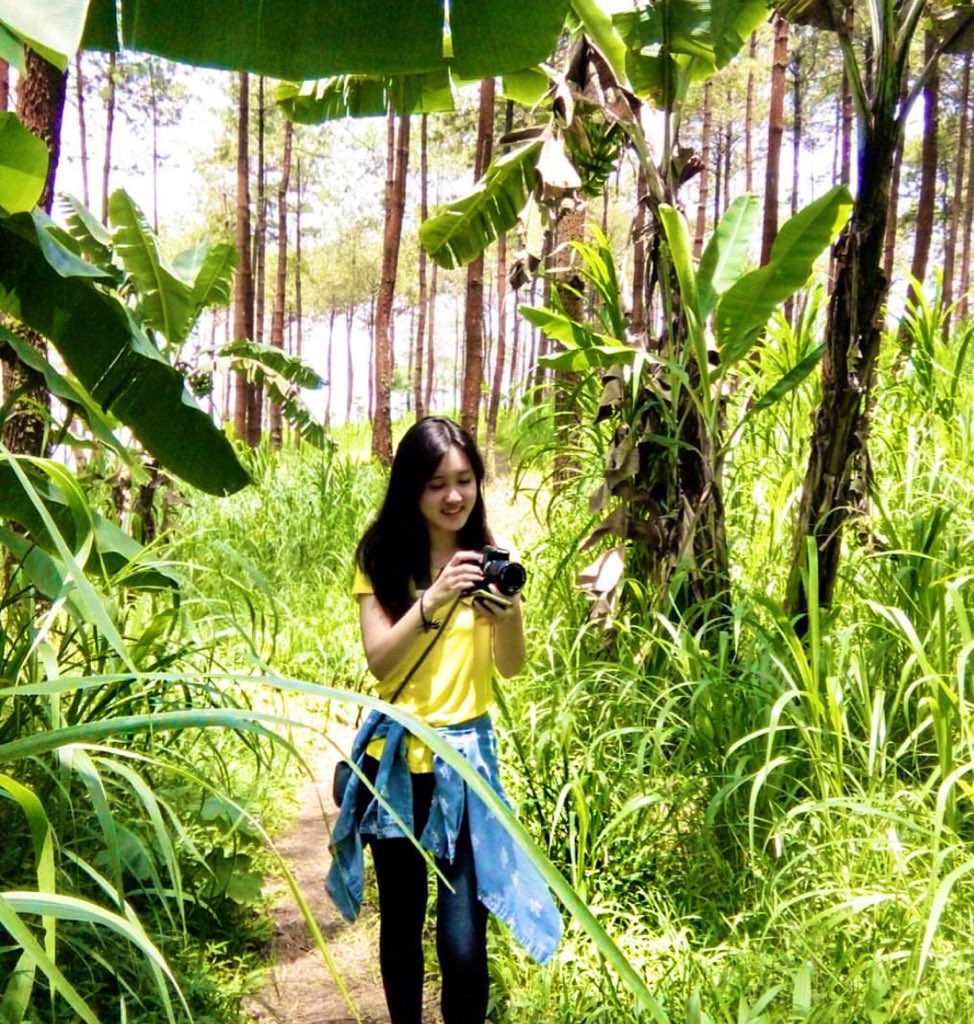 Lice 🐋 tweet media