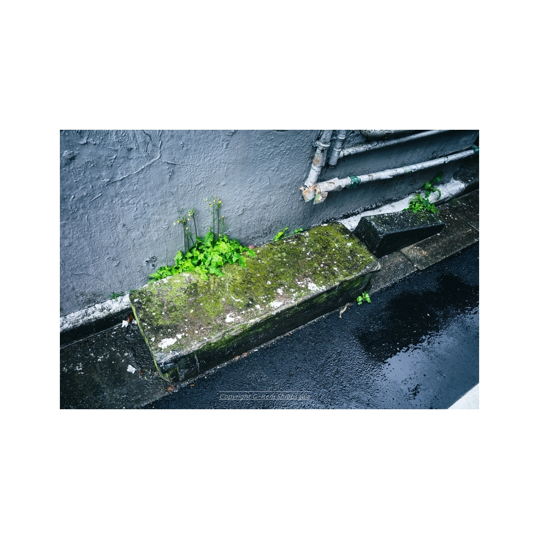 shibu_g_item's tweet photo. Living in Back Alley
#scenery #Snapshot
#streetphotography
#streetsnap #Tokyo #Japan
#backalley
#ricohgriii #ricohgr3
#RICOH #ricohgr https://t.co/PIDAnUM79z