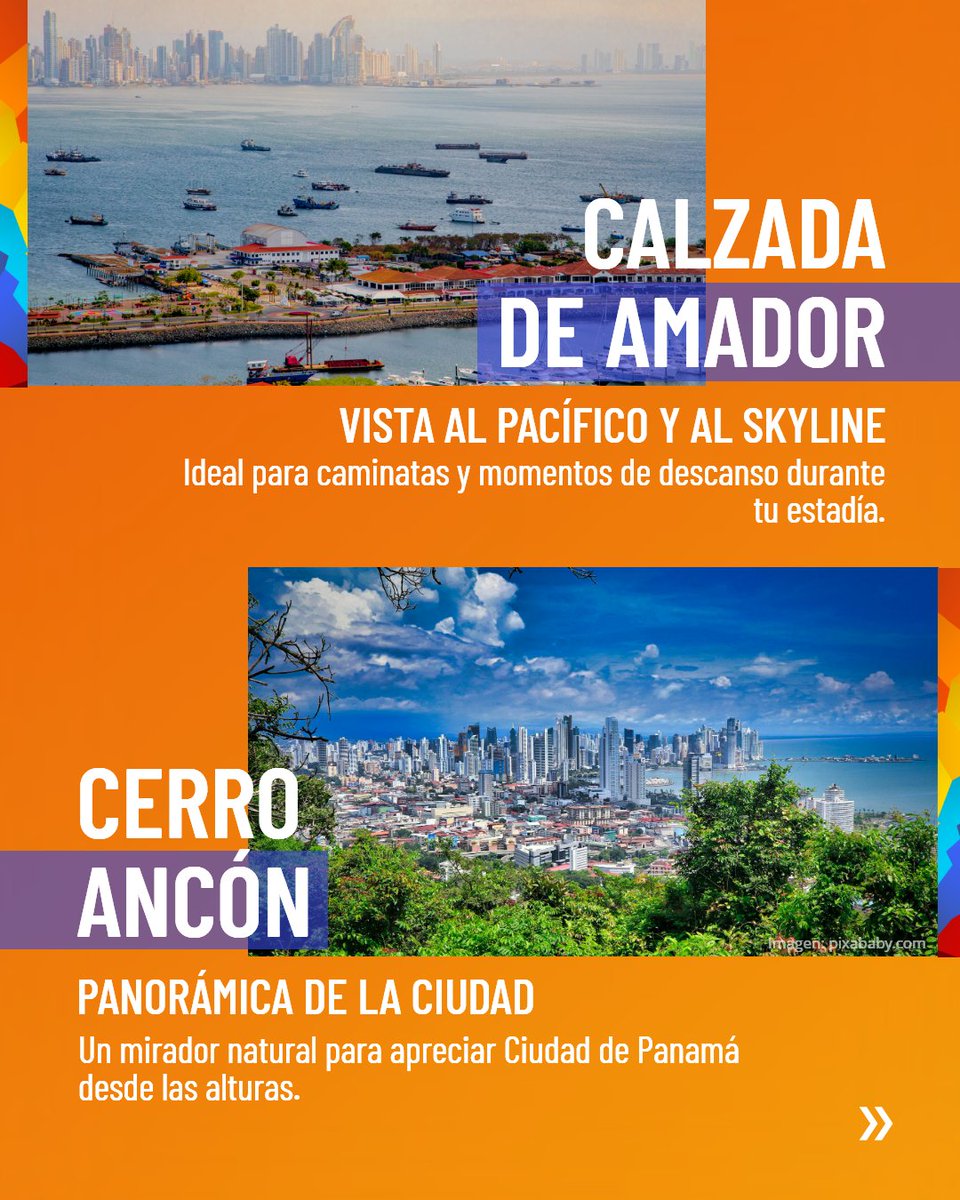 Panlar tweet media