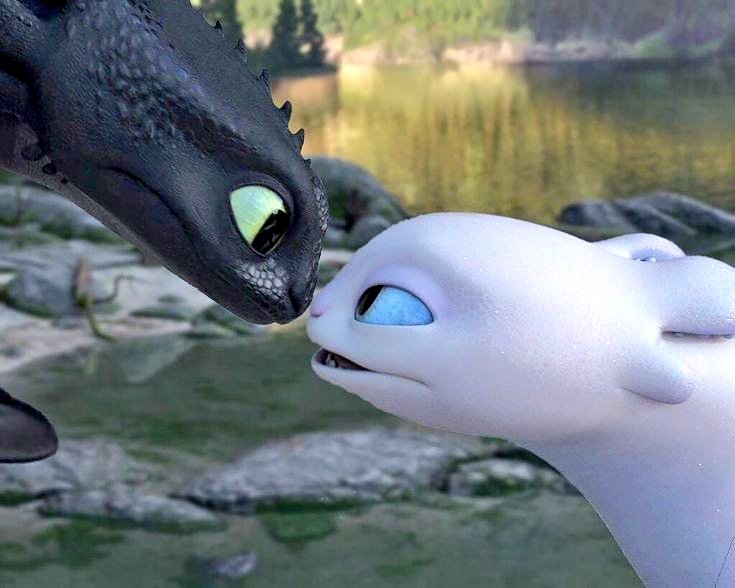 Eʟᴏɴ 🐰🐻 tweet media