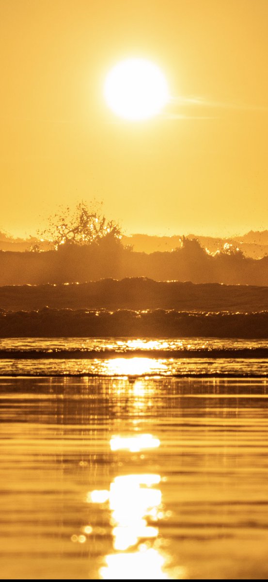 ClaasenSam's tweet image. Golden Hour @ #Bodegabay