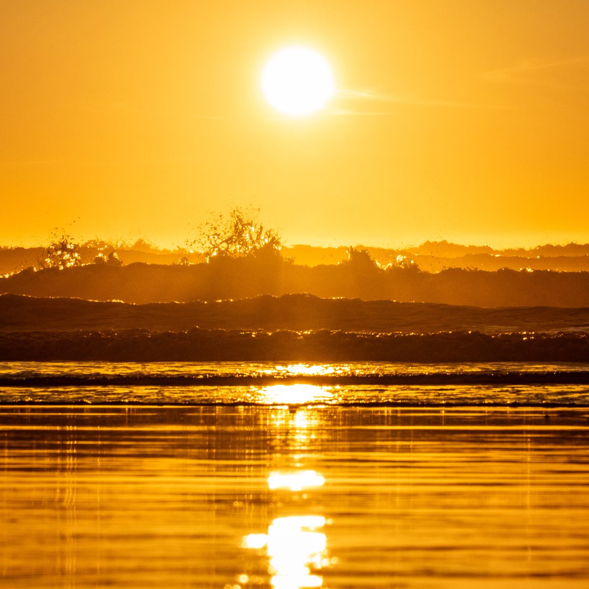 ClaasenSam's tweet image. Golden Hour @ #Bodegabay