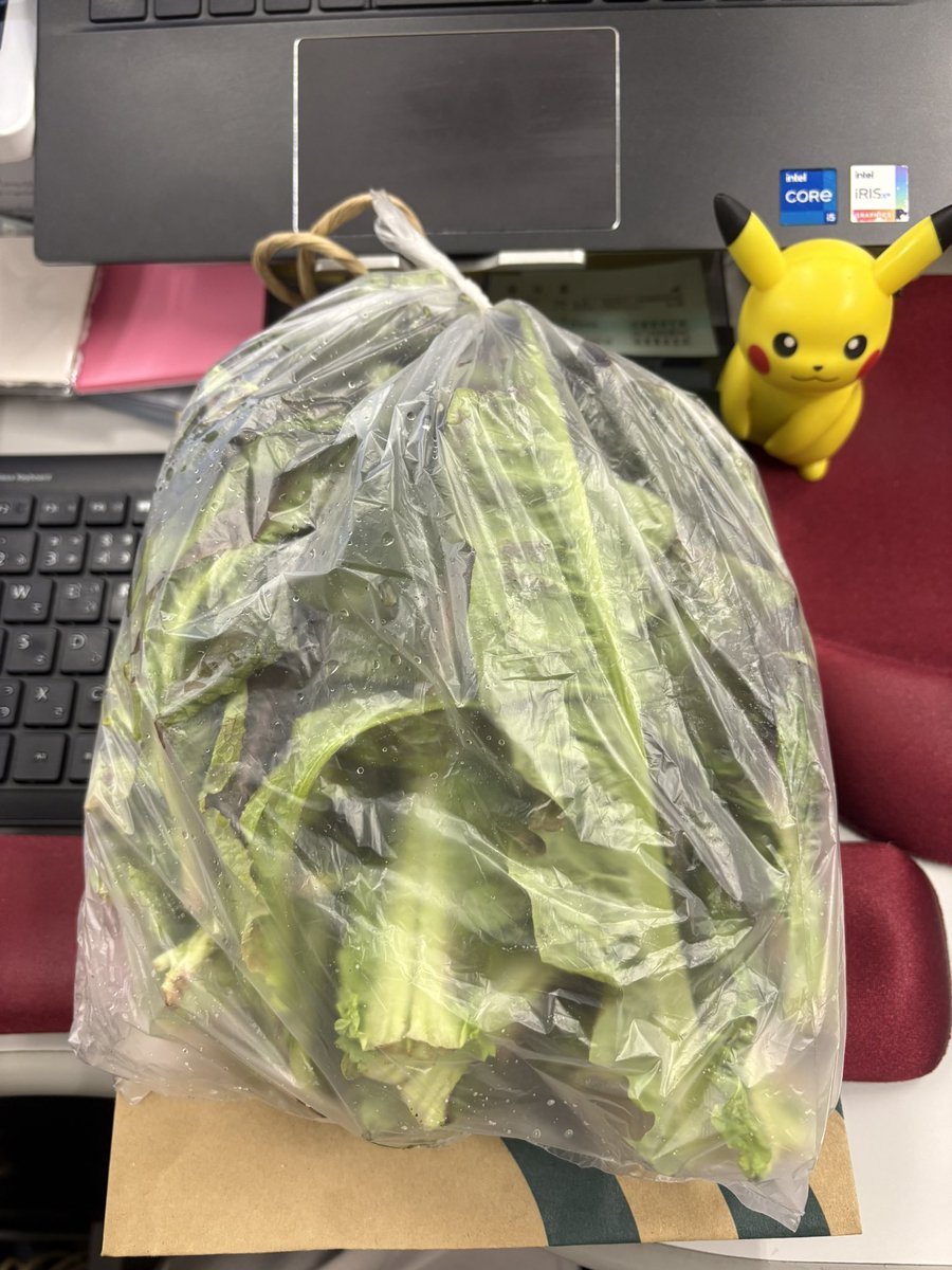 あんちゃん(´･ᴥ･`)🪕🎶 tweet media