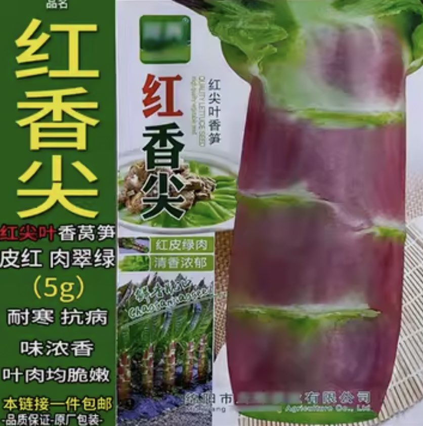 あんちゃん(´･ᴥ･`)🪕🎶 tweet media