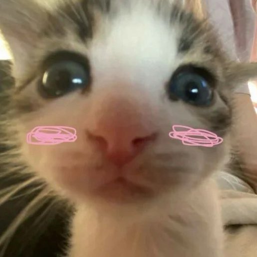 J|Джи строче🥀🌟|saw katarsis!! tweet media