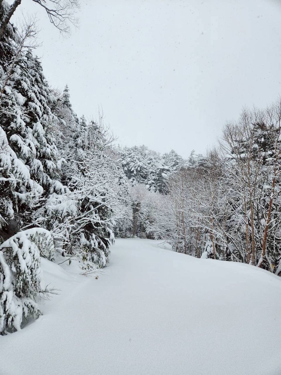 御嶽スキー場 tweet media