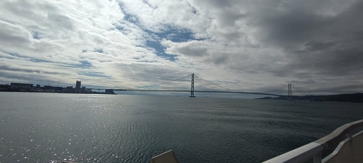 ﾏｯｻﾝ🐟️ tweet media