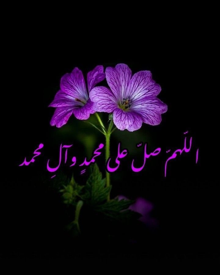 لينا tweet media