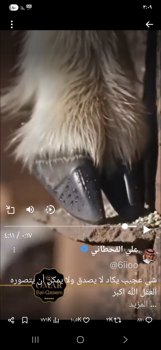 msmd2's tweet photo. @6iioo اخ علي تعتقد هذا ظلف حقيقي؟ https://t.co/UA0ueR5ZTT