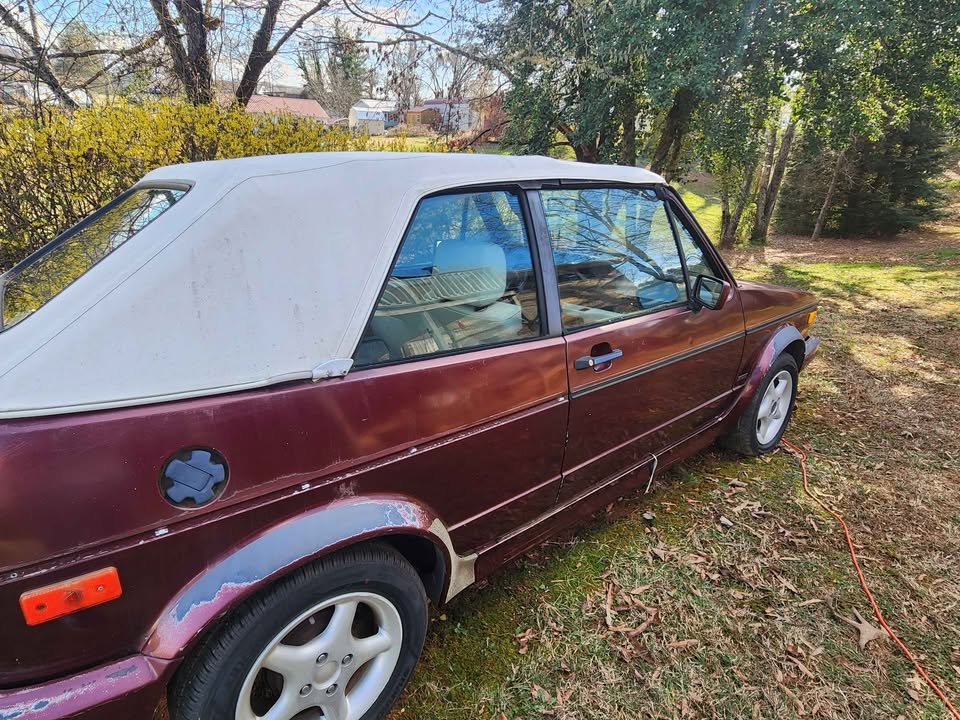 ¢¿© Þ 🙈 🙉 🙊 Ð ²¸ 🌴🆗 tweet media