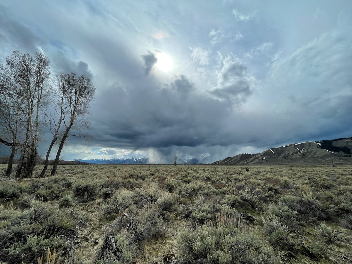 Dennis D tweet media