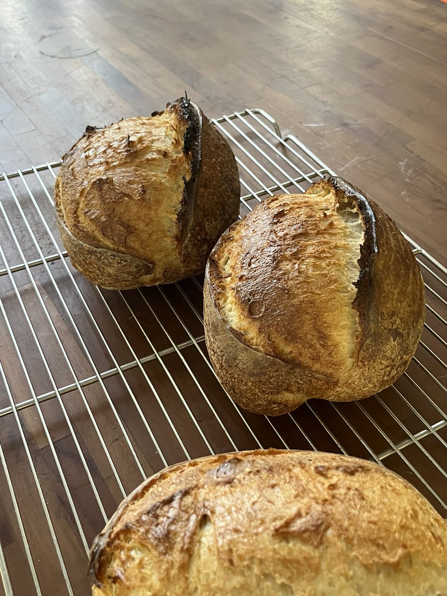 Kev’s Universe tweet media