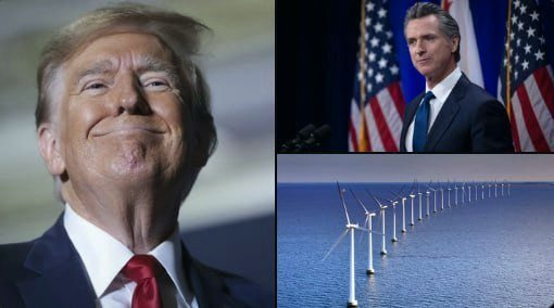 Stand Up For Truth 🇺🇸 tweet media