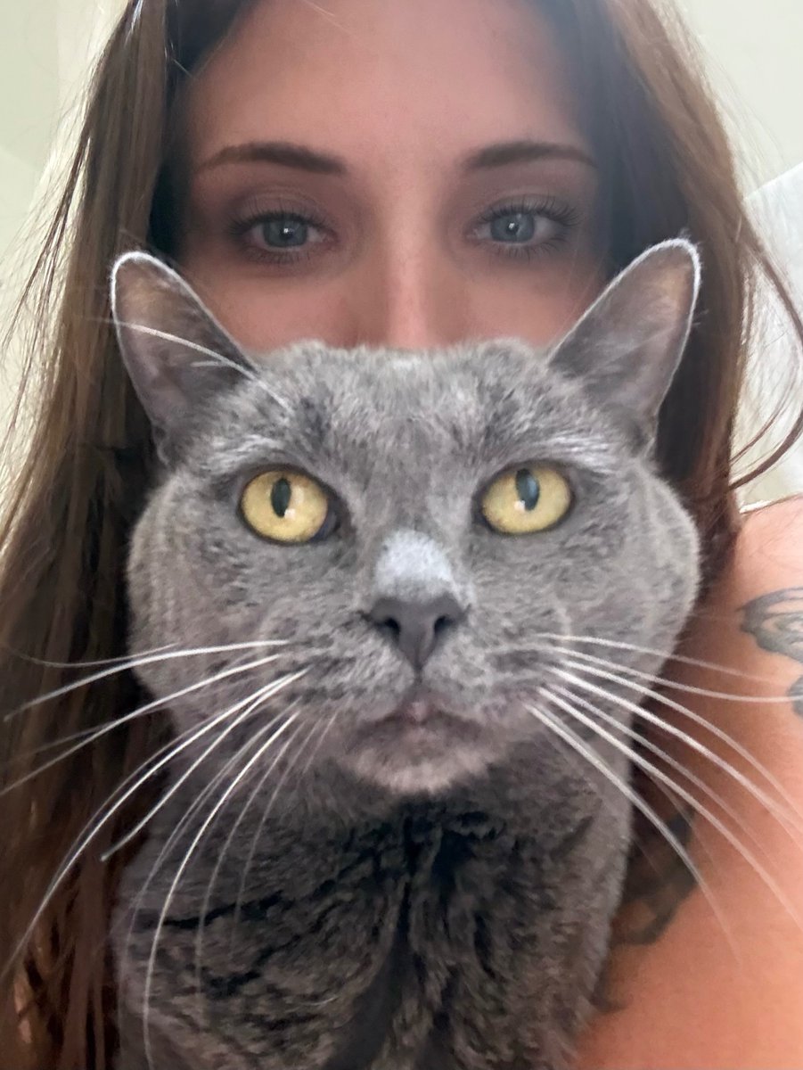 Luna The Grey Tuna tweet media