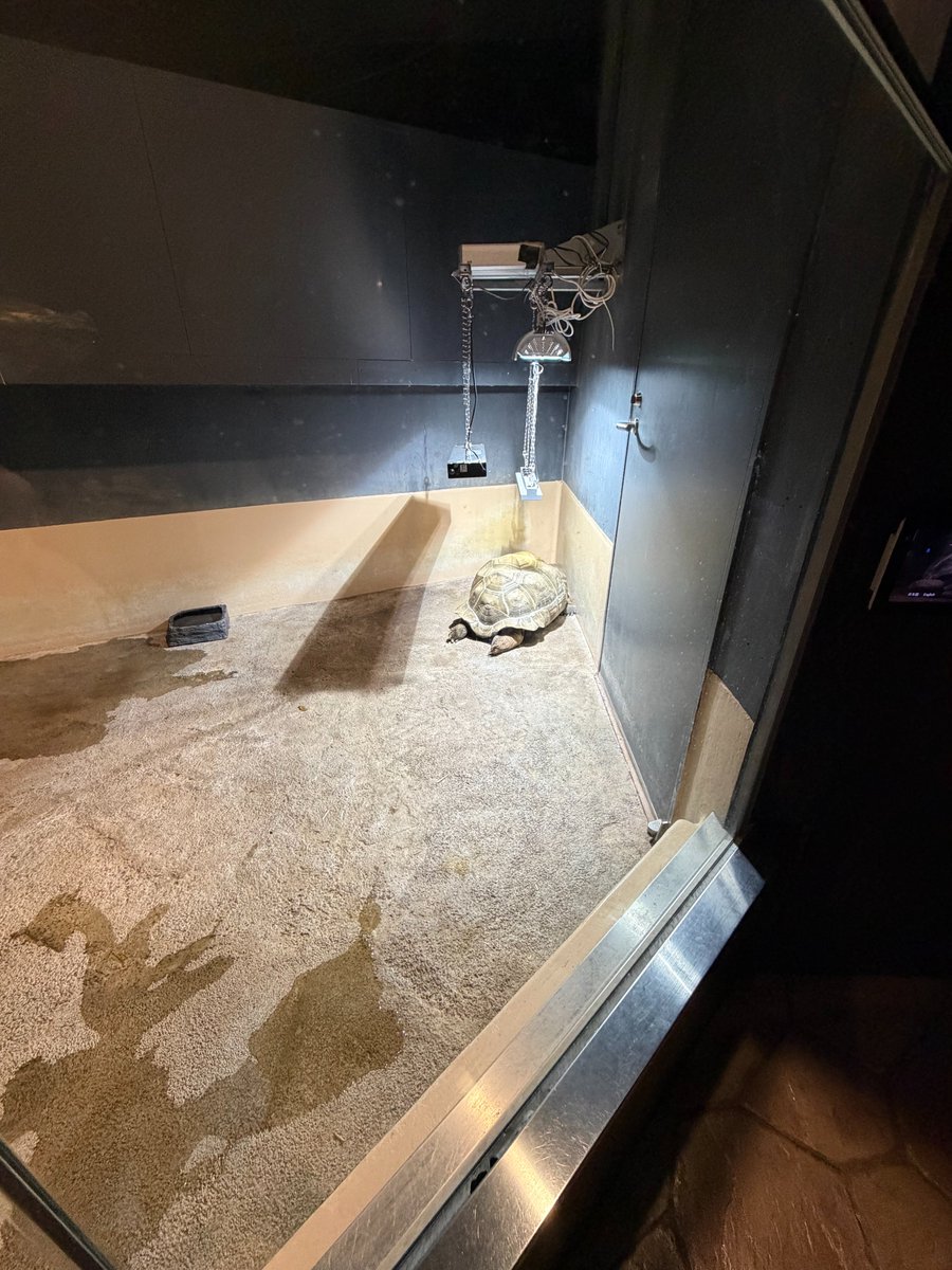 インサレイションテクノロジー tweet media