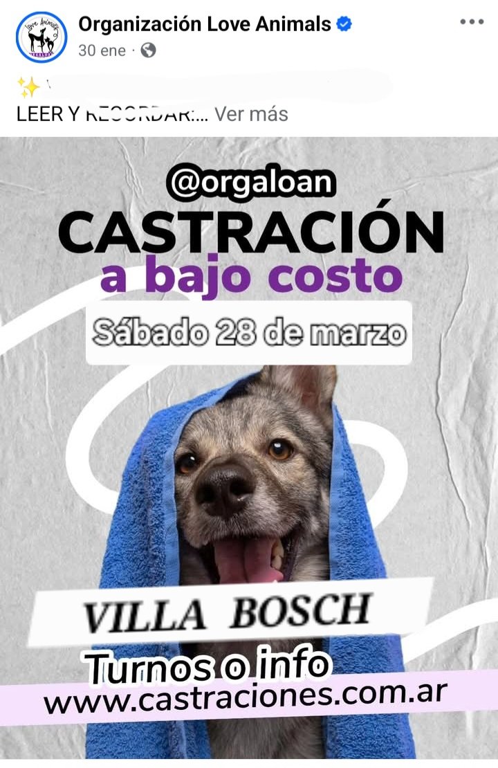 protegealanimal's tweet image. TRES DE FEBRERO
#TRESDEFEBRERO #VILLABOSCH #CIUDADJARDÍN #MARTÍNCORONADO #PABLOPODESTÁ #LOMAHERMOSA #11DESEPTIEMBRE #CHURRUCA  #CASEROS #SANTOSLUGARES #SÁENZPEÑA #VILLARAFFO #JOSÉINGENIEROS #CIUDADELA #ZONAOESTE #GRANBSAS #BSAS #CONURBANO