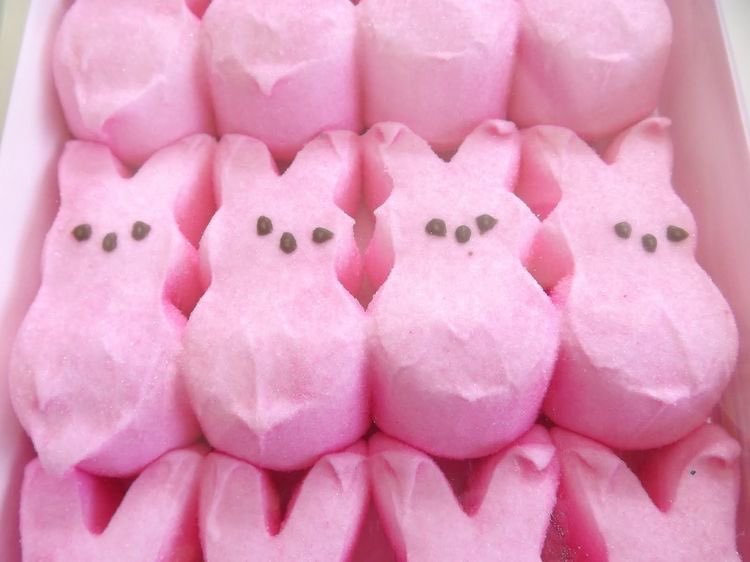 ᨳ ໒꒰ྀི ◞ ˕ ҂ 𐦯১ ໒꒱ིྀ༝⁺ tweet media