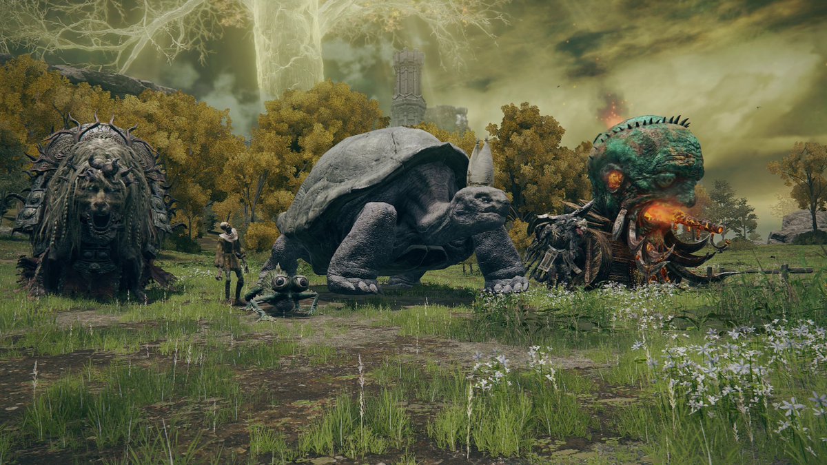 Lore Turtle tweet media