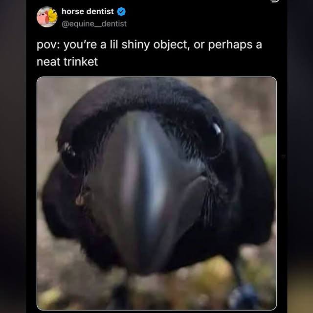 decathexis tweet media